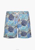 SWIMS corallo zafiro onda nadar corto 6" ropa 2X0TR298